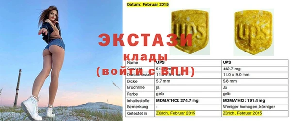 гидра Богданович