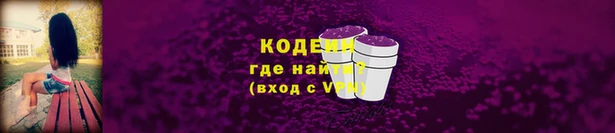 МДПВ Богородск