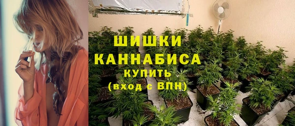 гидра Богданович