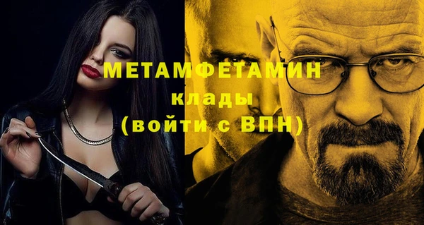 гидра Богданович