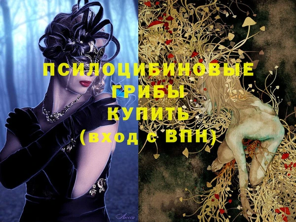 МДПВ Богородск