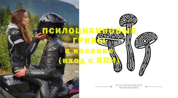 гашик Богородицк