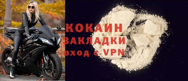 гидра Богданович